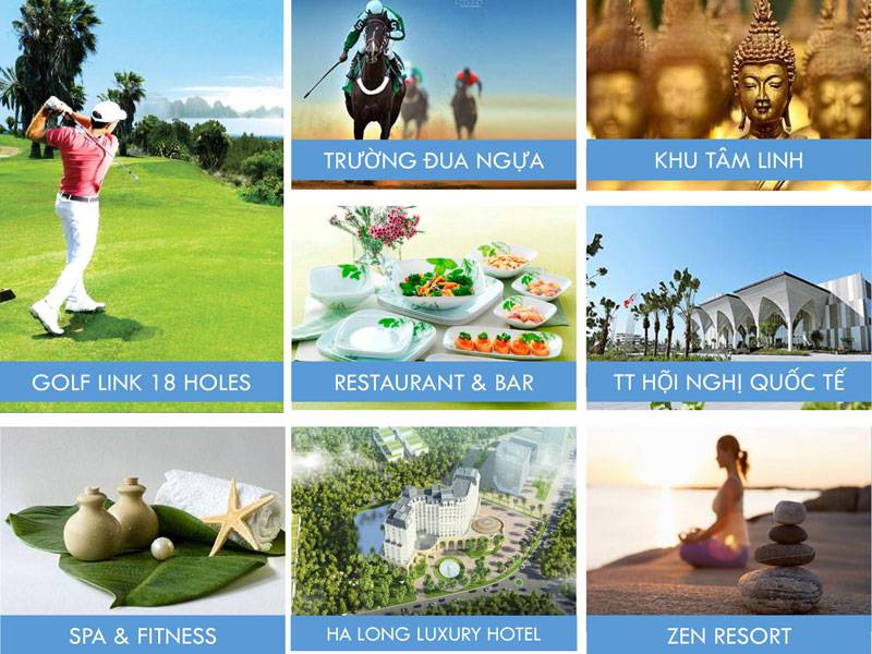 Dự án FLC Quảng Bình Beach & Golf Resort – Thông tin dự án BĐS